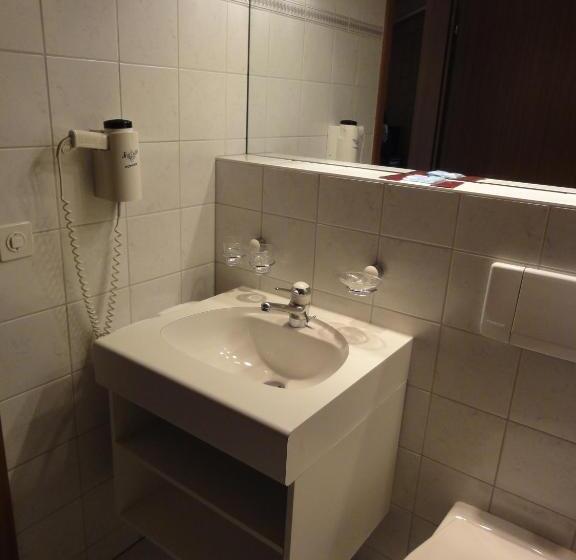 酒店 Steinbock Grindelwald