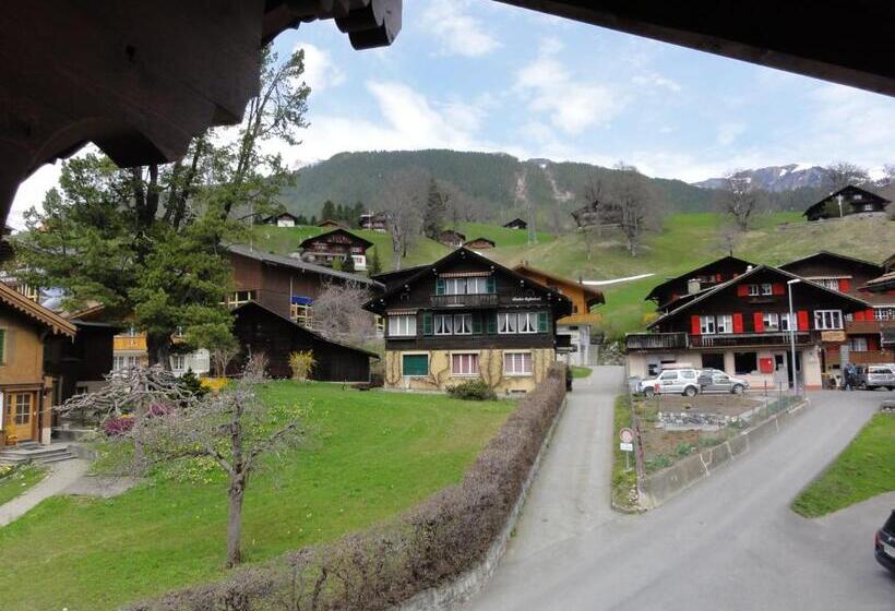 酒店 Steinbock Grindelwald