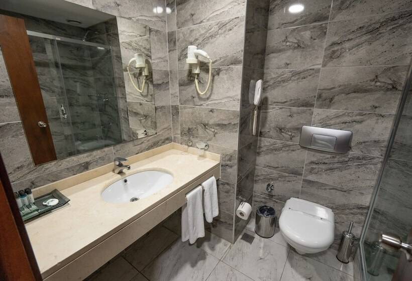 ホテル The Green Park  Taksim