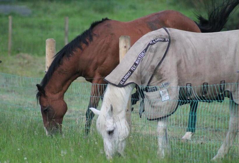 膳宿费 Riversdale Farm B&b