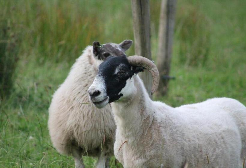 膳宿费 Riversdale Farm B&b