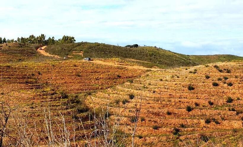Quinta Pedra Dos Bicos