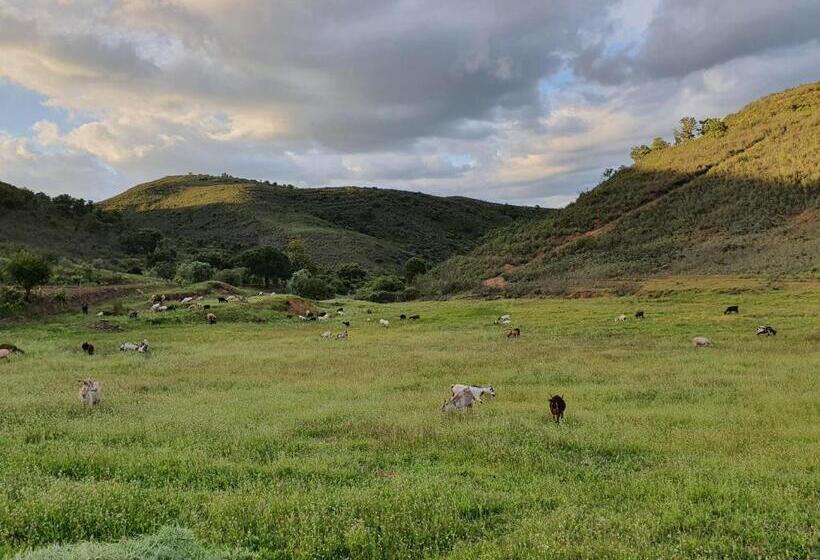 Quinta Pedra Dos Bicos