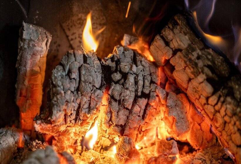 渡假胜地  Alahuar