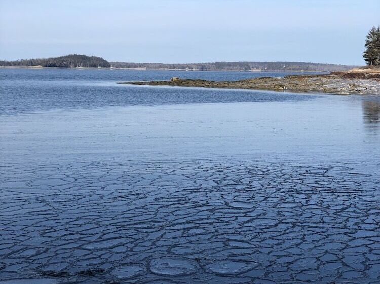 مبيت وإفطار Bluff House Inn