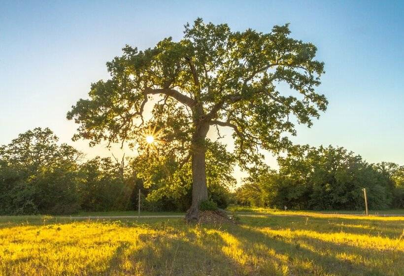 Bed and Breakfast Night Bird Ranch
