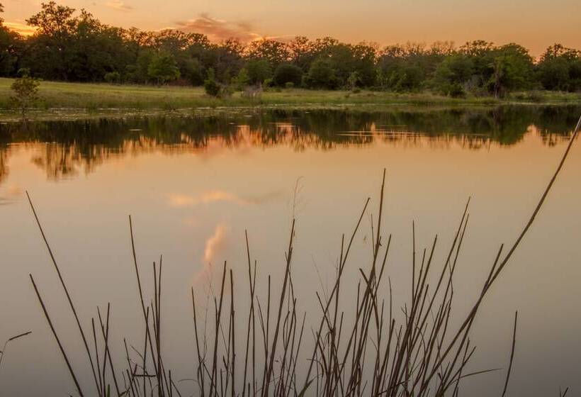 Bed and Breakfast Night Bird Ranch