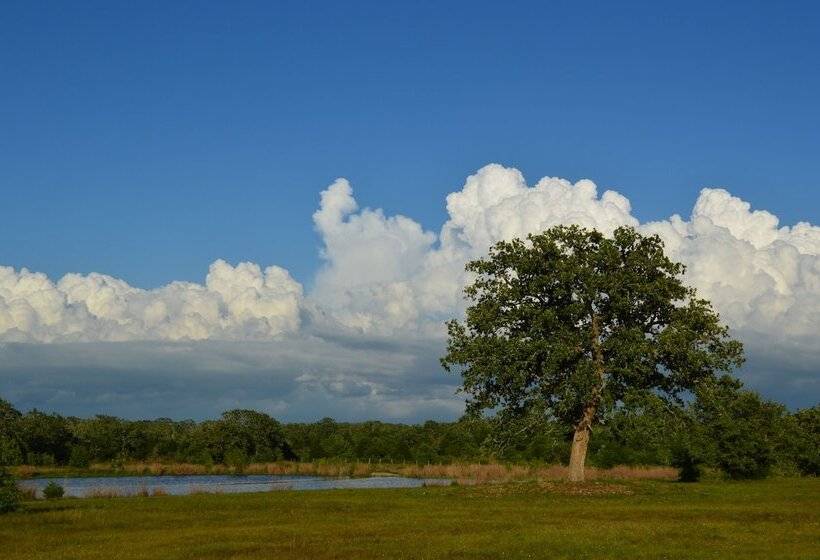 Bed and Breakfast Night Bird Ranch