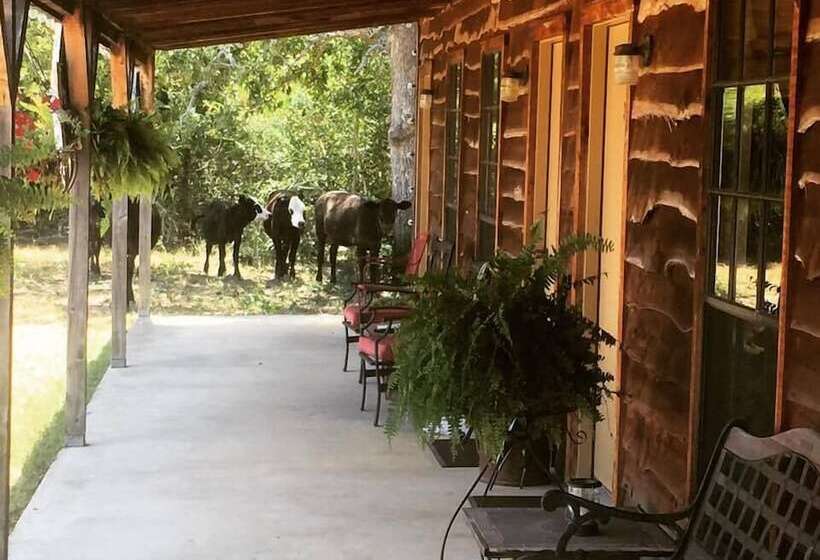 Bed and Breakfast Night Bird Ranch