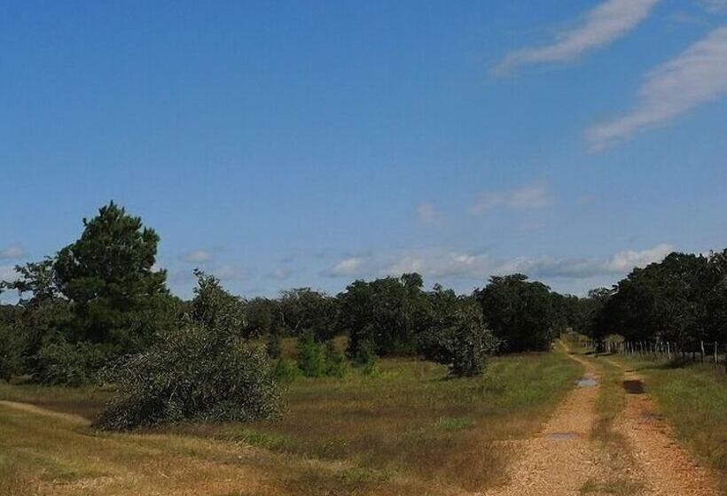 Bed and Breakfast Night Bird Ranch