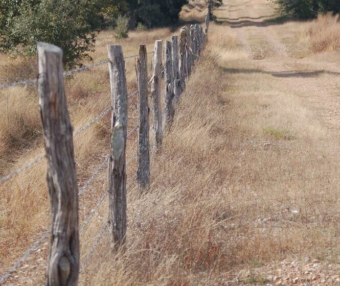 Bed and Breakfast Night Bird Ranch