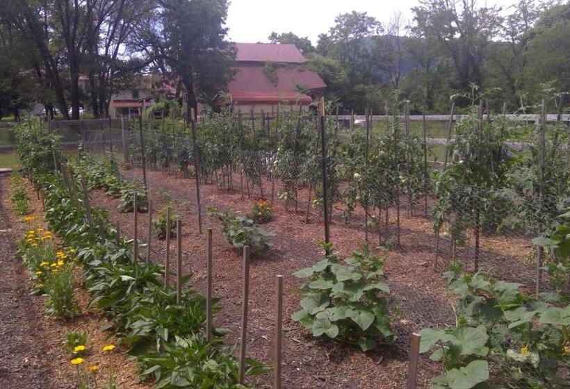 Bliss Point Farm And B&b, Llc