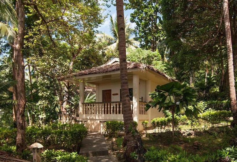 Easy Diving And Beach Resort