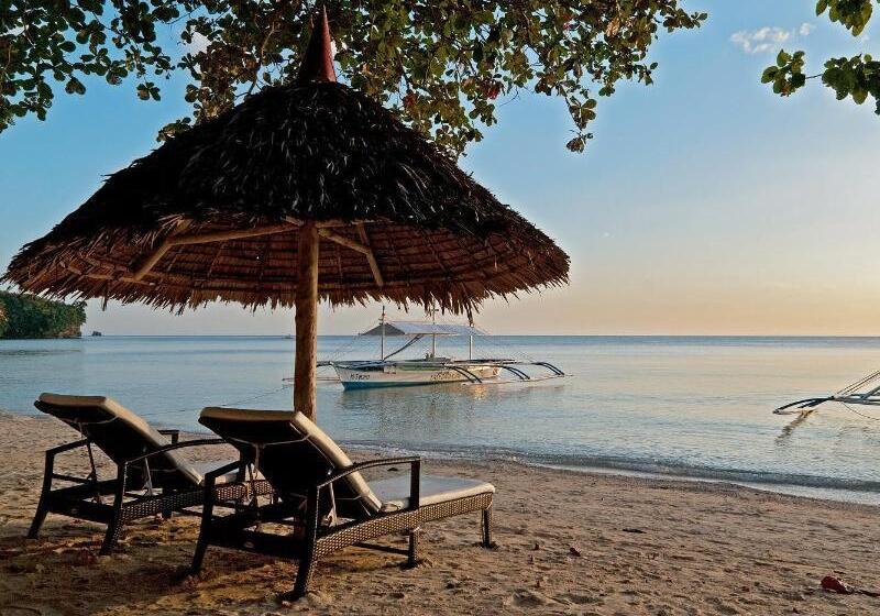 Easy Diving And Beach Resort