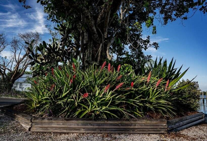 فندق Chokoloskee Island Park And Marina