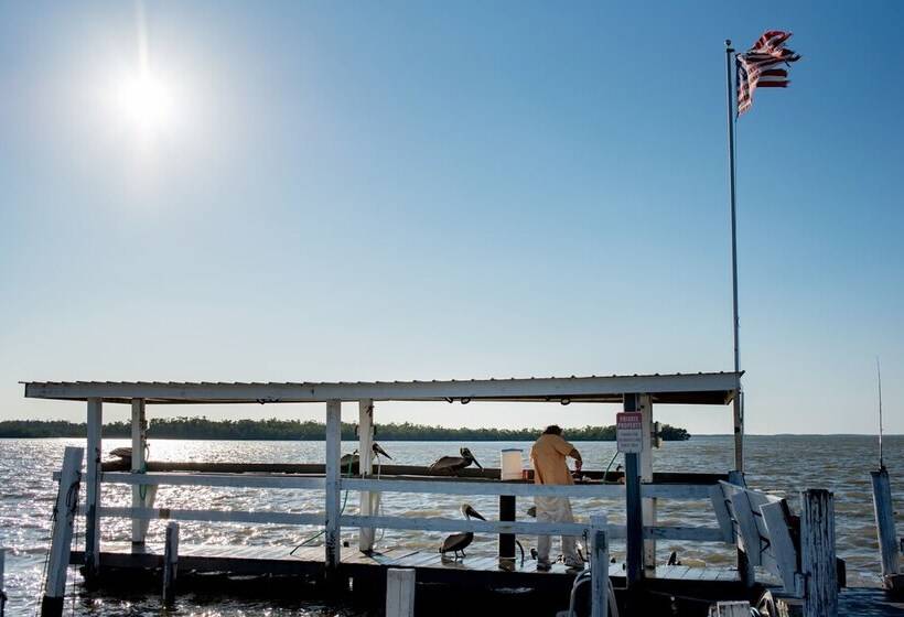 فندق Chokoloskee Island Park And Marina