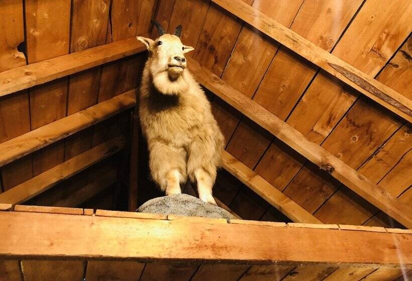 فندق Wrangell Mountain Lodge  Private Bathroom With Shower