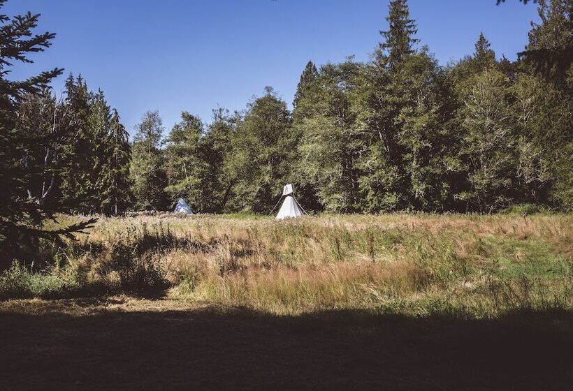 Mt. Rainier Ranch