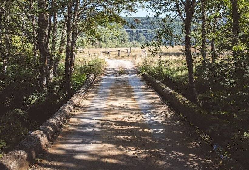Mt. Rainier Ranch