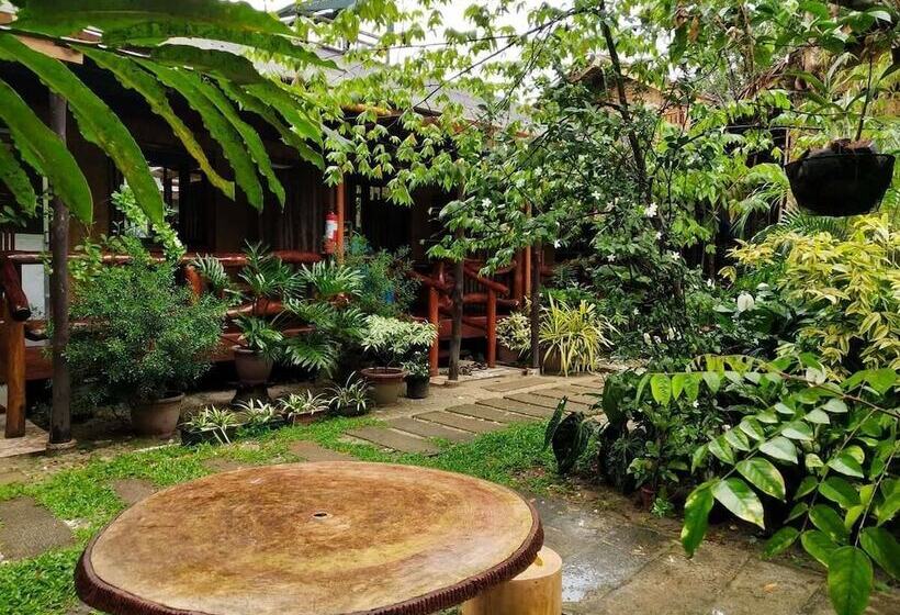 پانسیون Bing Vice Tourist Inn