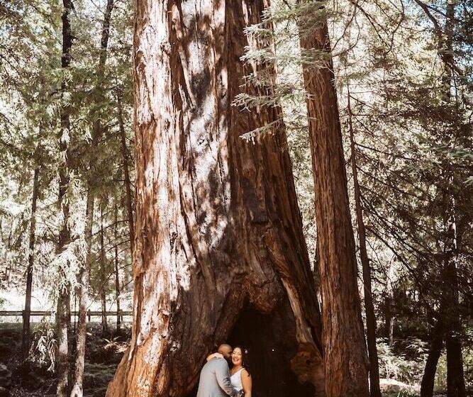 Redwoods River Resort