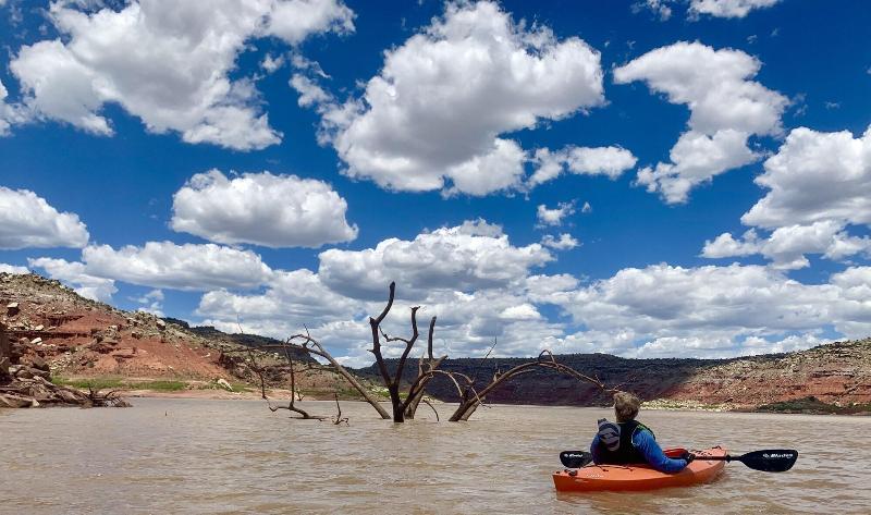 The Grand Hacienda B&b