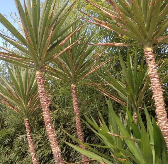 مبيت وإفطار Bastide Nomade Guest House