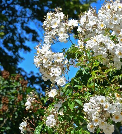 مبيت وإفطار Chambres D'hôtes Château De Bonabry