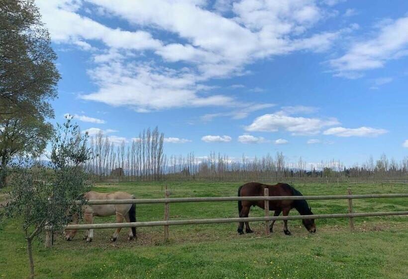 住宿加早餐  Domaine Castell De Blés