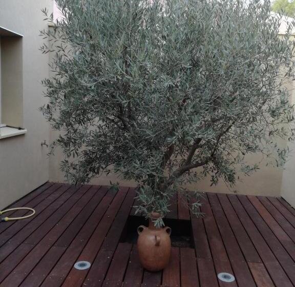 צימר Les Trois Oliviers
