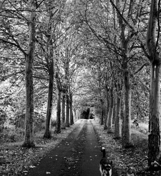 As Casas Ribeira Sacra