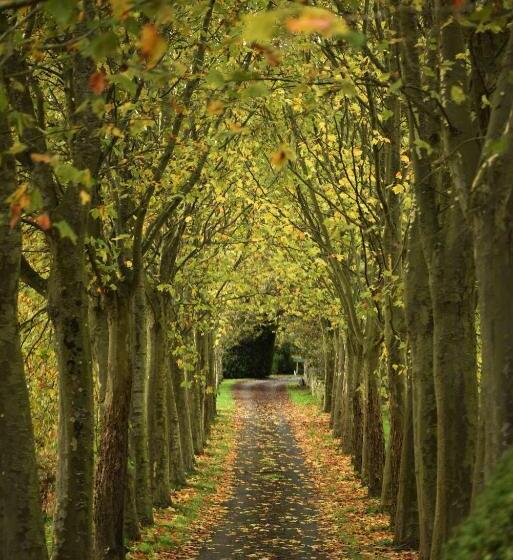 As Casas Ribeira Sacra