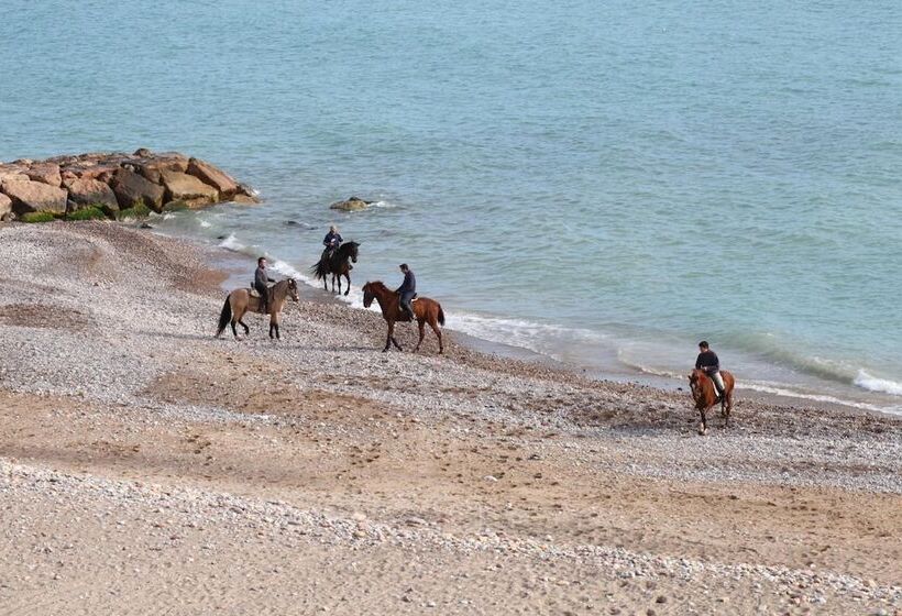 Хостел Pensión Tere Playa