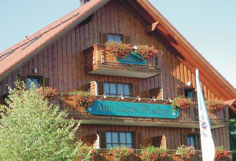 Отель Alte Linde