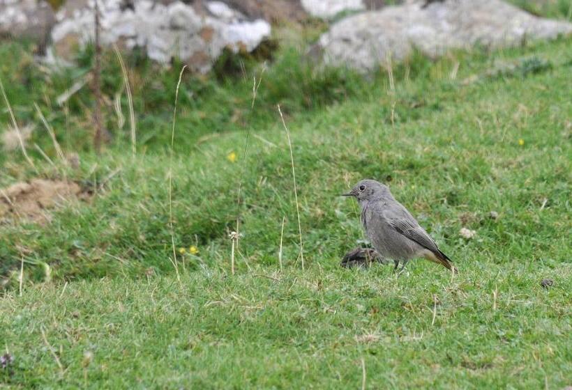 Отель Au Primerose