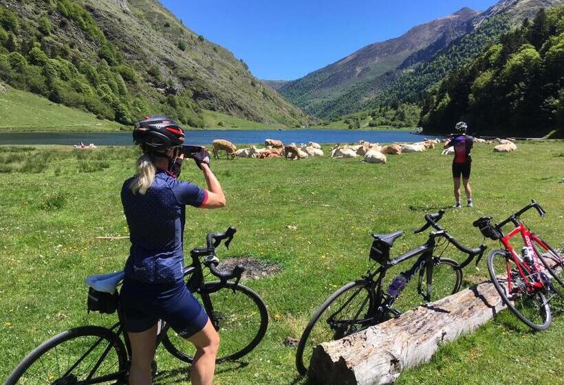 Отель Au Primerose