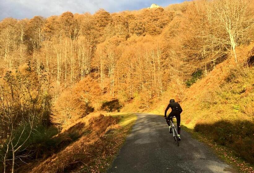 Отель Au Primerose