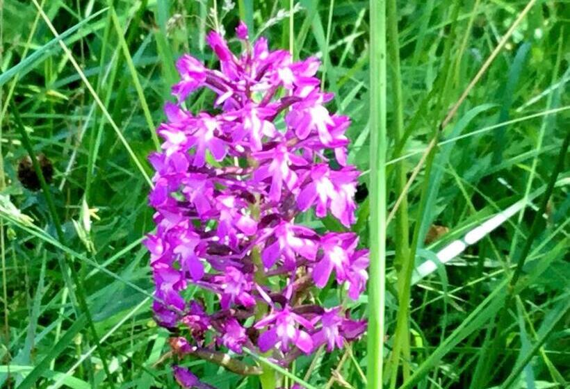 Отель Auberge De La Sagne