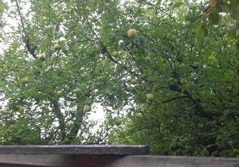 호텔 Auberge De Launay