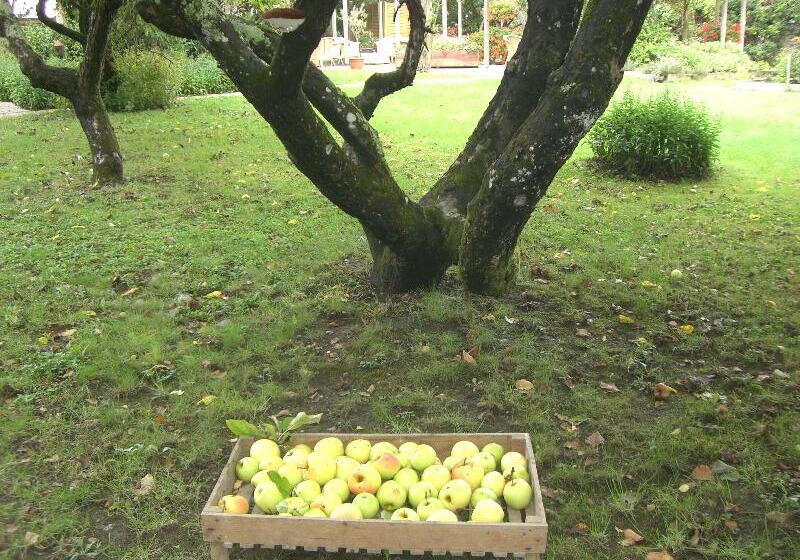 호텔 Auberge De Launay