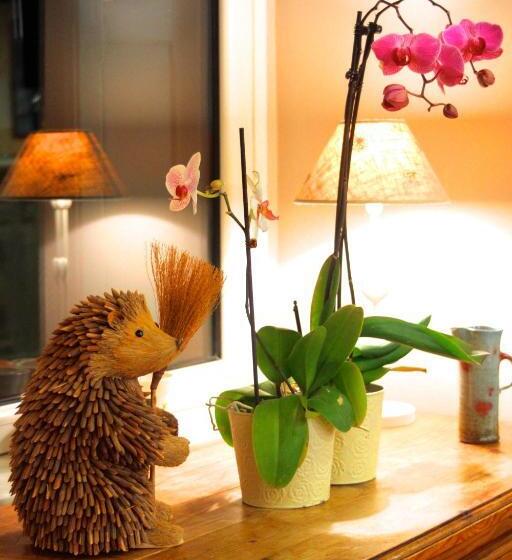 酒店 Auberge Le Cabaliros