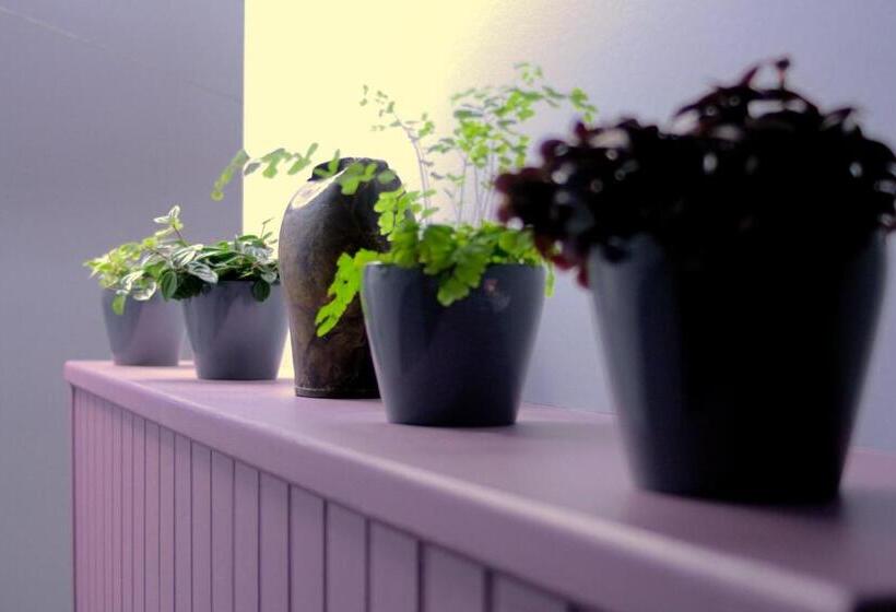 酒店 Auberge Le Cabaliros