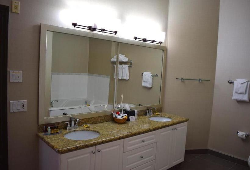 酒店 Best Western Plus Uptown