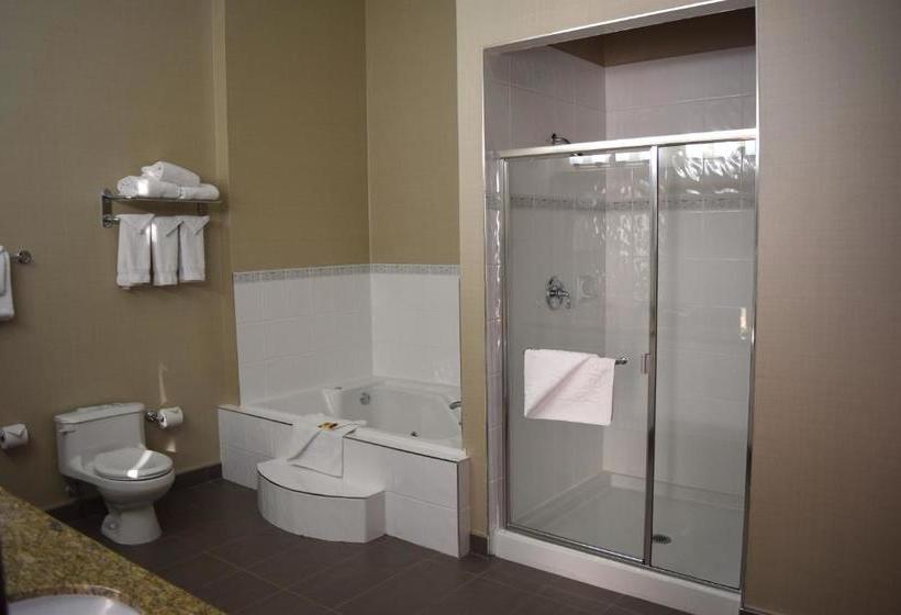 酒店 Best Western Plus Uptown