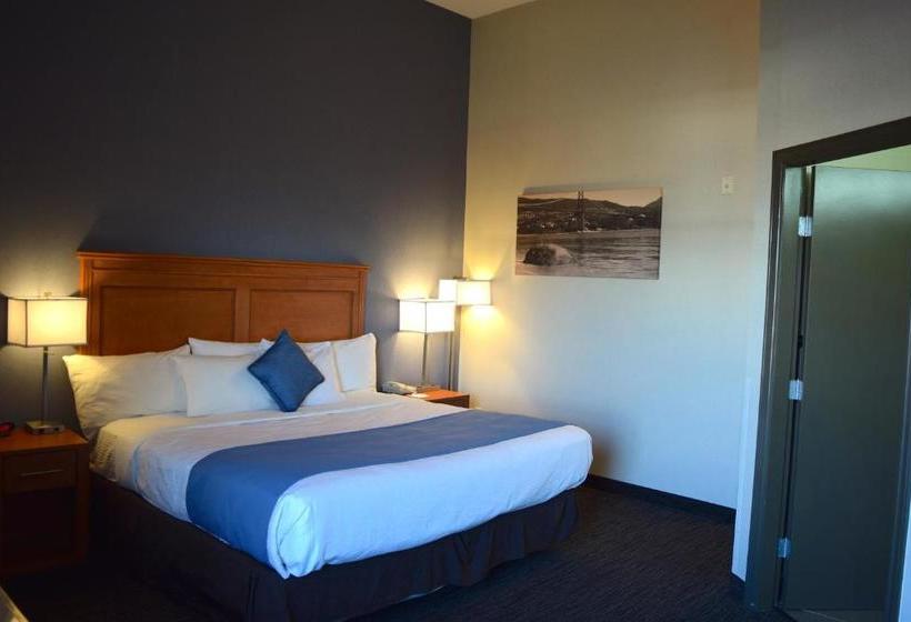 酒店 Best Western Plus Uptown