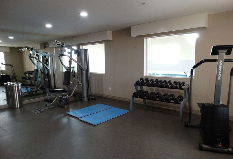 בית מלון כפרי Best Western Snowflake Inn