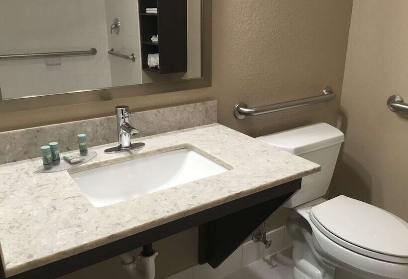 בית מלון כפרי Best Western Snowflake Inn