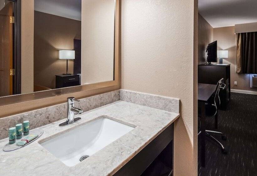 בית מלון כפרי Best Western Snowflake Inn