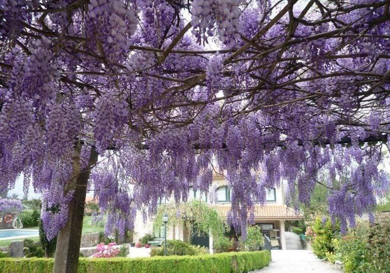 호텔 Casa Das Pias