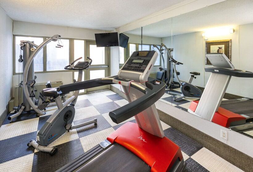 בית מלון כפרי Comfort Inn & Suites